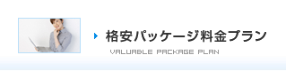 格安パッケージ料金プラン