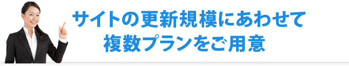 サイトの更新規模にあわせて複数プランをご用意