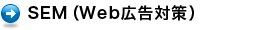  SEM（Web広告対策）