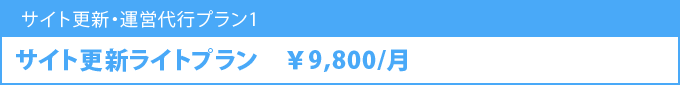 サイト更新ライトプラン 9800円/月