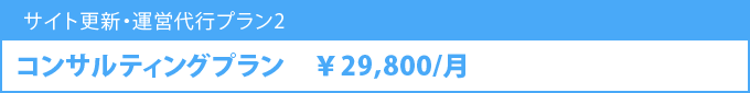 コンサルティングプラン 29800円/月