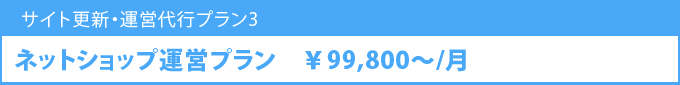 ネットショップ運営プラン 99800円/月